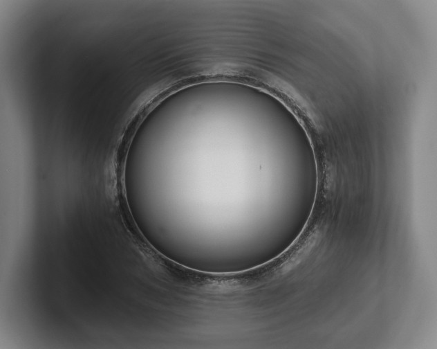 X0000101950978200807251131