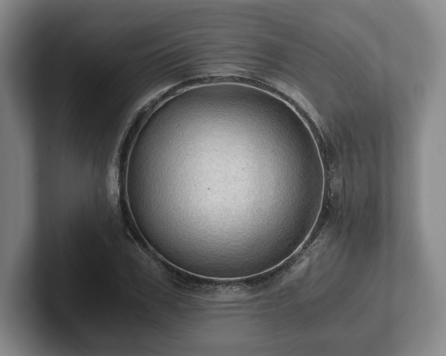 X0000101950979200807251131