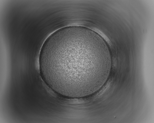 X0000101950980200807251131