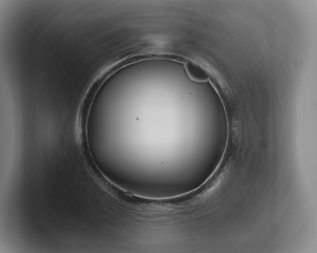 X0000101950981200807251131