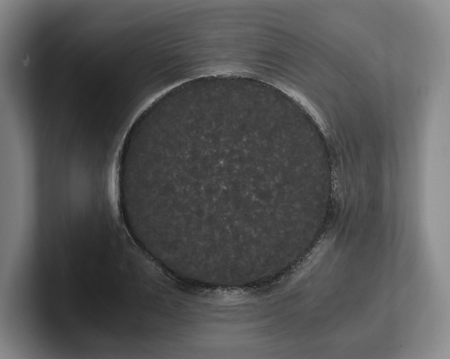 X0000101950983200807251131