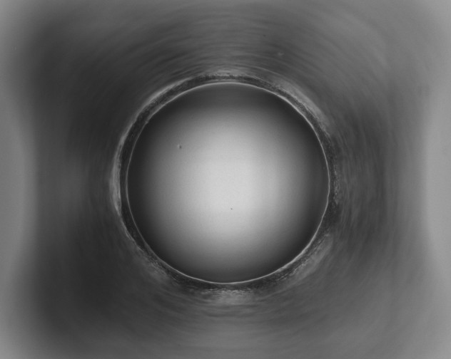 X0000101950984200807251131