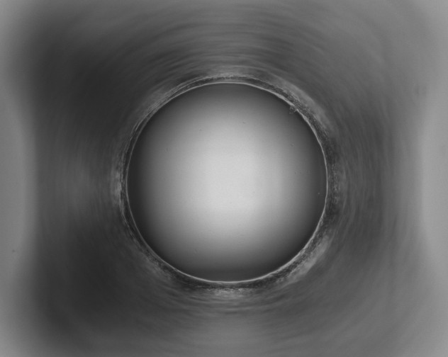 X0000101950985200807251131