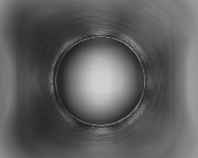 X0000101950986200807251131