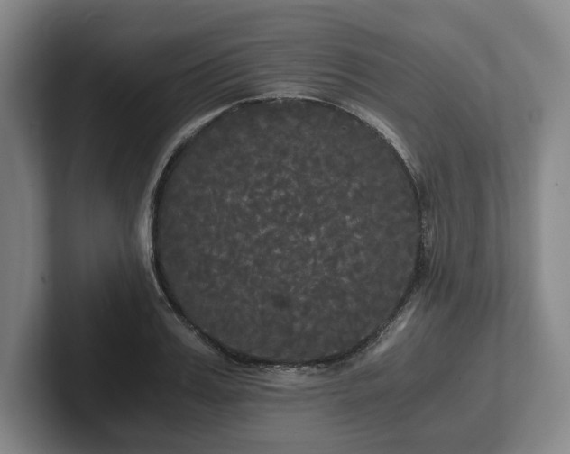 X0000101950987200807251131