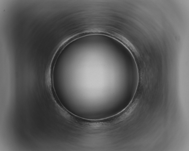 X0000101950988200807251131