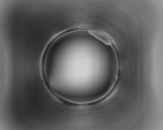 X0000101950989200807251131