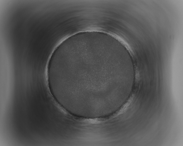 X0000101950990200807251131