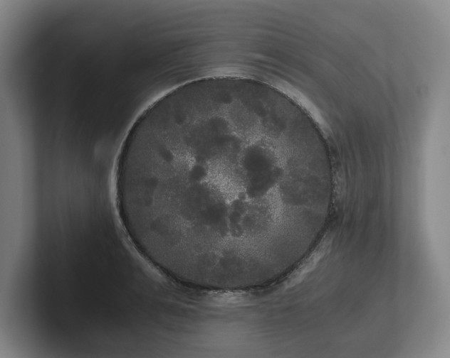 X0000101950991200807251131