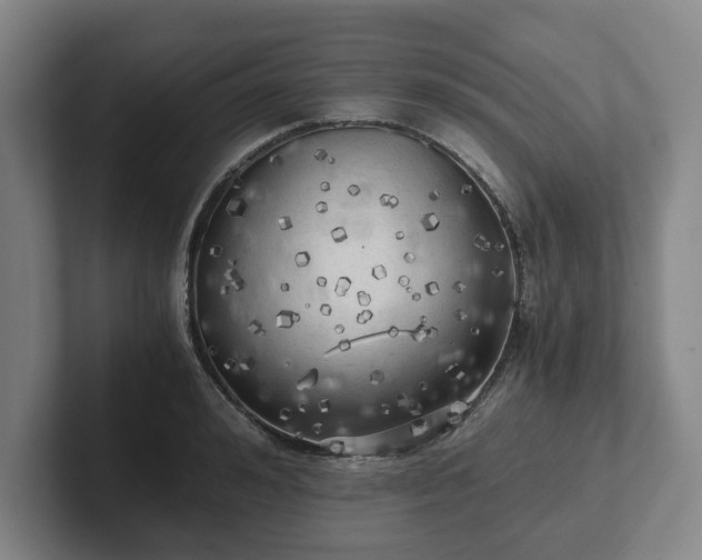 X0000101950992200807251131