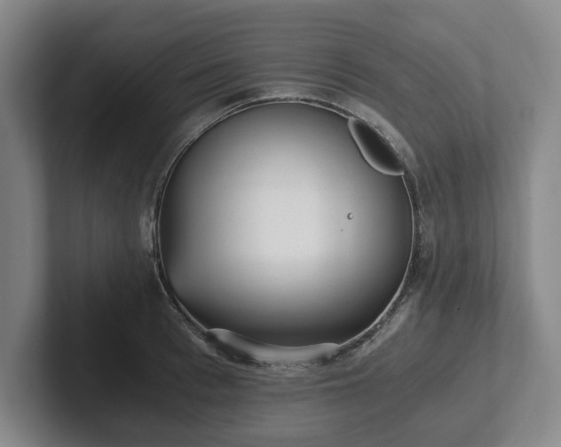 X0000101950993200807251131