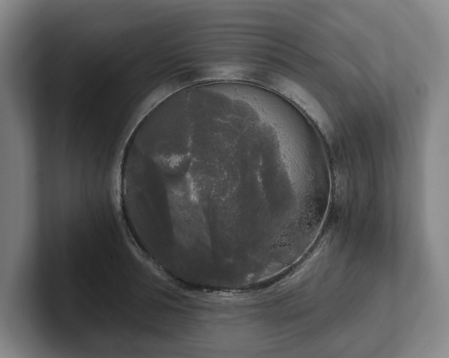 X0000101950994200807251131