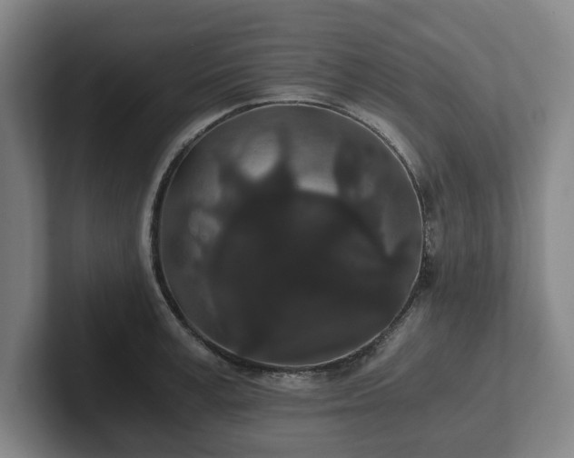 X0000101950995200807251131