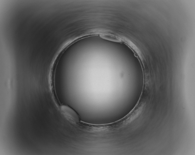 X0000101950997200807251131