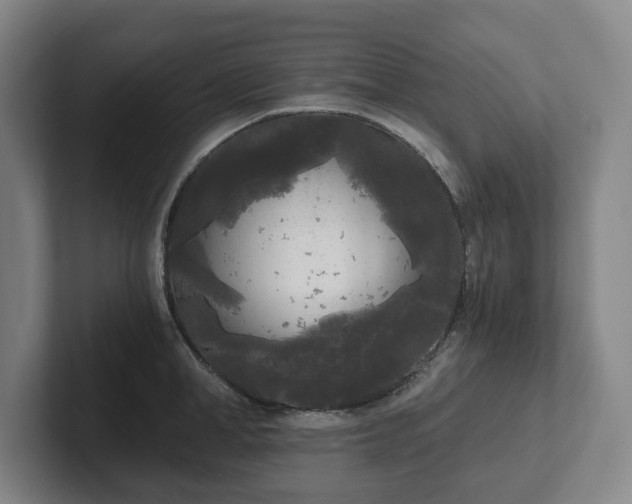 X0000101950998200807251131