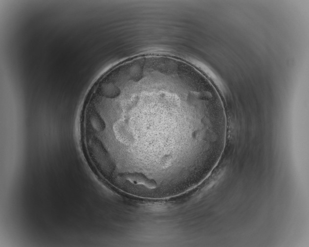 X0000101950999200807251131