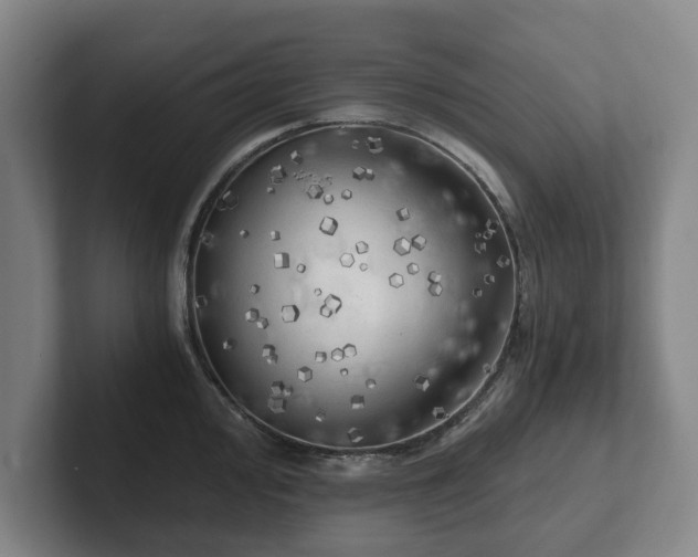 X0000101951000200807251131
