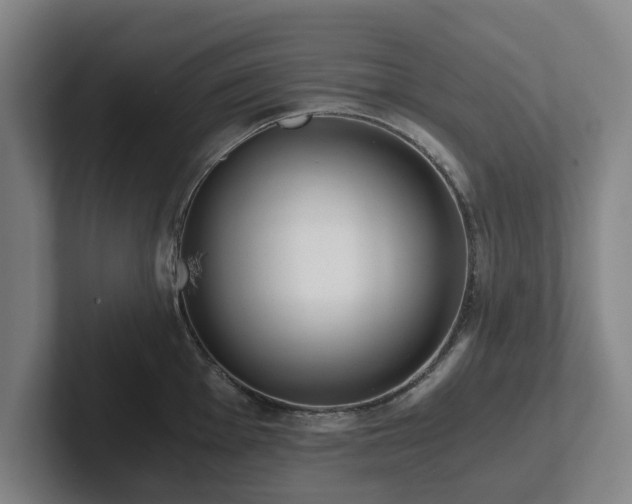 X0000101951001200807251131