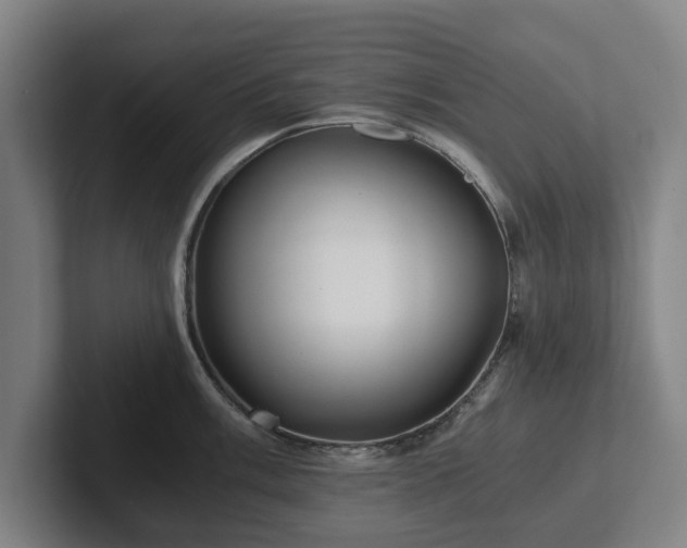 X0000101951003200807251131