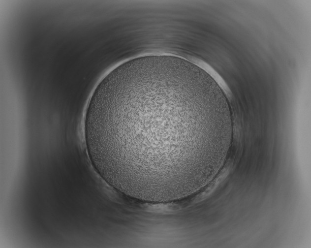 X0000101951004200807251130