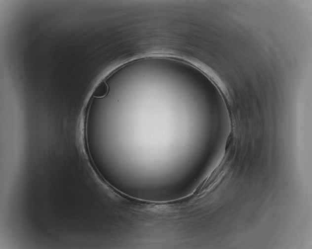 X0000101951006200807251130