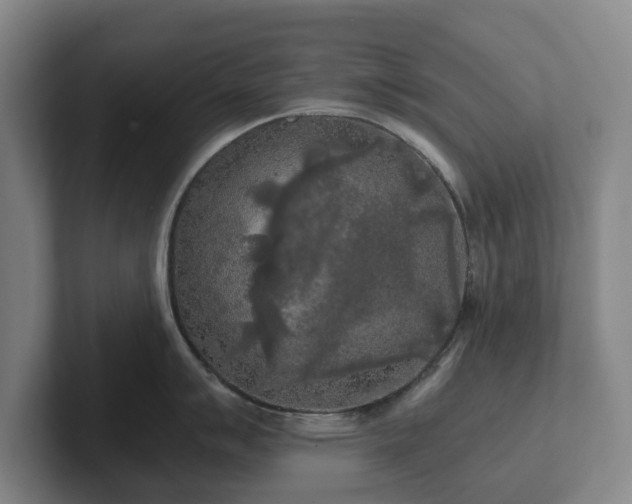 X0000101951007200807251130