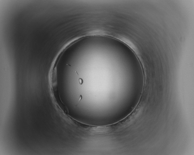 X0000101951008200807251130