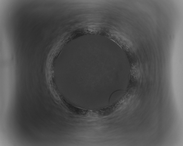 X0000101951009200807251130