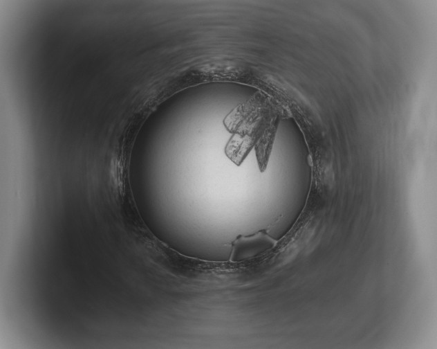 X0000101951010200807251130