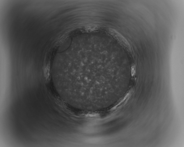 X0000101951011200807251130