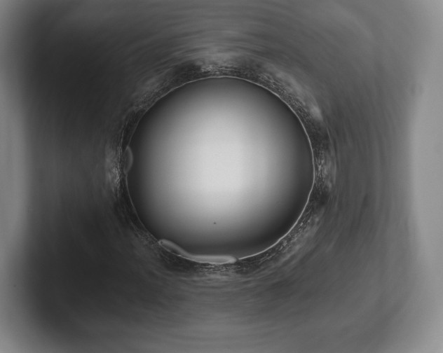 X0000101951012200807251130