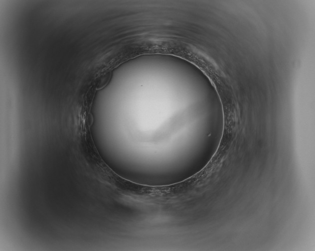 X0000101951013200807251130