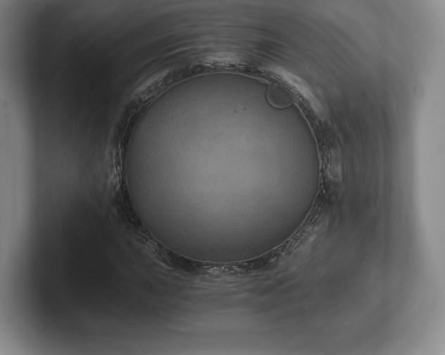 X0000101951015200807251130