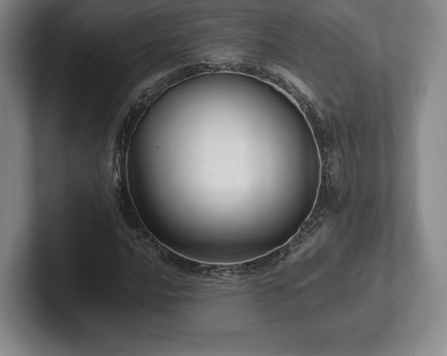 X0000101951016200807251130