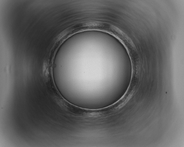 X0000101951017200807251130