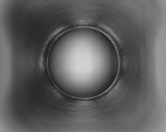 X0000101951018200807251130