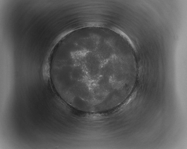 X0000101951019200807251130