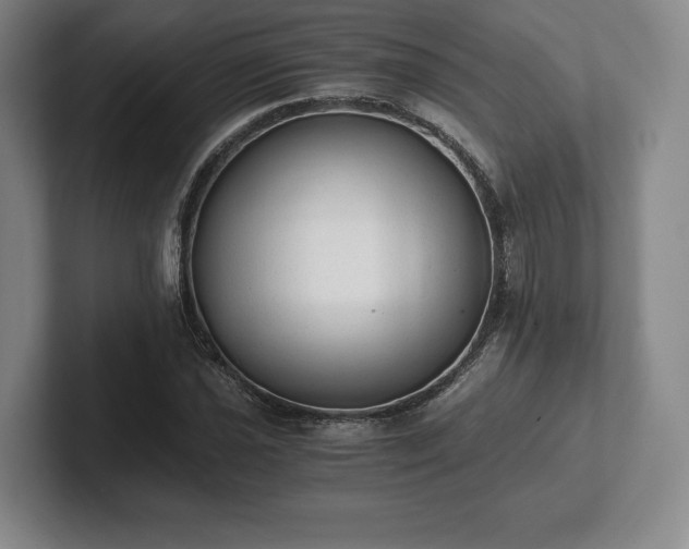 X0000101951021200807251130