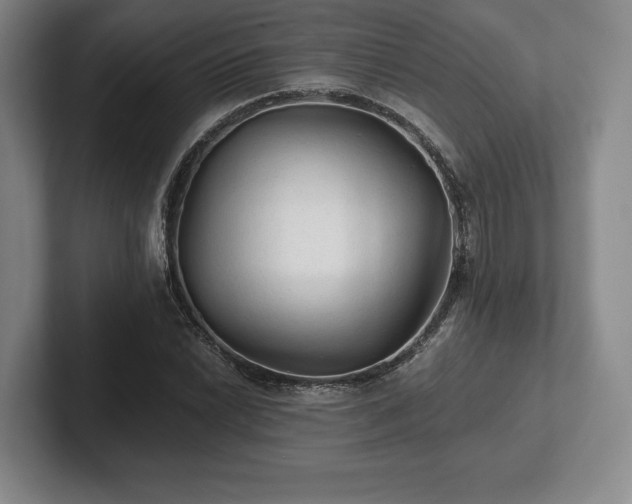 X0000101951022200807251130