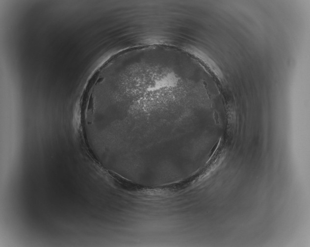 X0000101951023200807251130