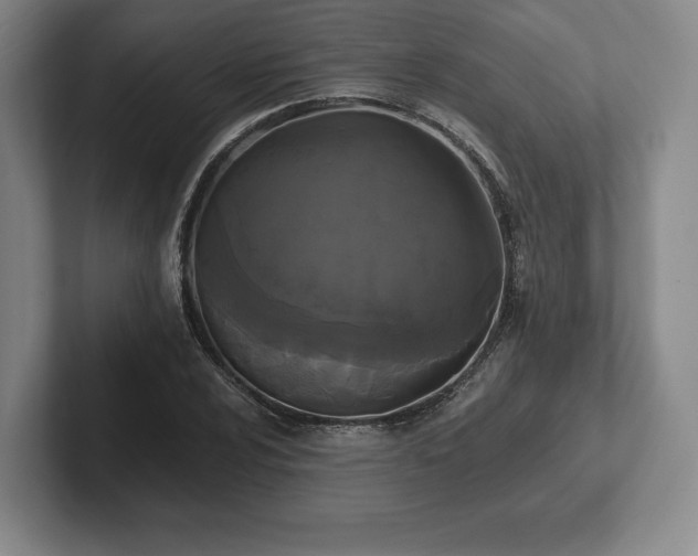 X0000101951024200807251130