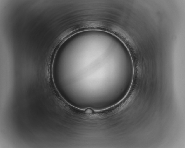 X0000101951025200807251130