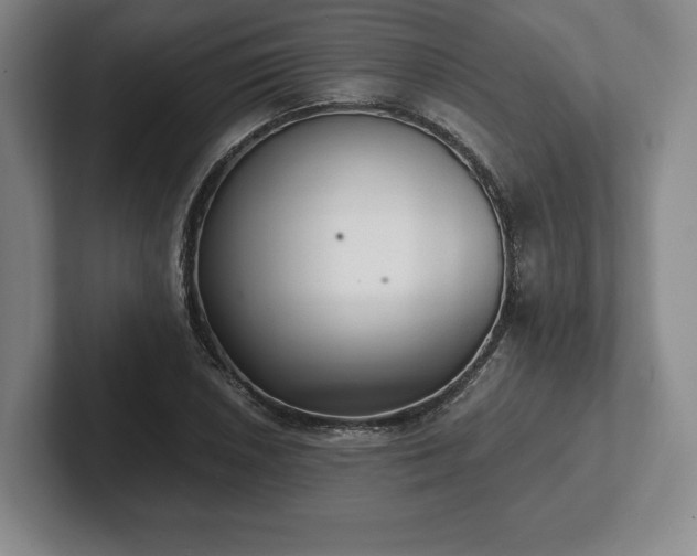 X0000101951026200807251130