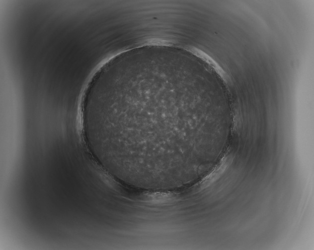 X0000101951027200807251130