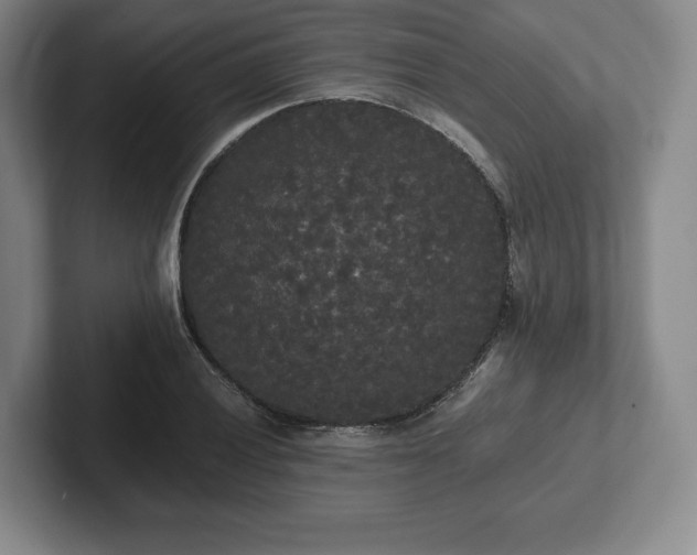 X0000101951028200807251130