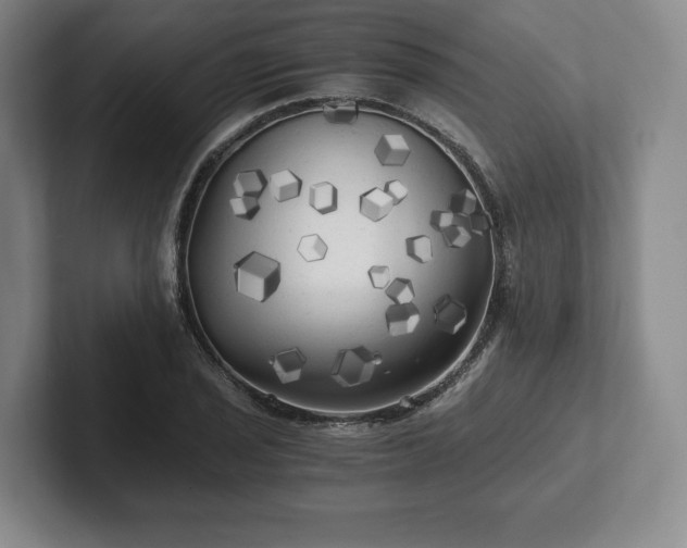 X0000101951029200807251130