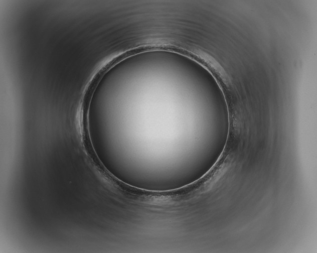 X0000101951030200807251130