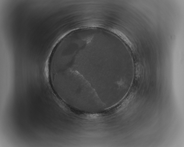 X0000101951031200807251130