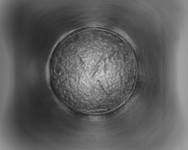 X0000101951032200807251130
