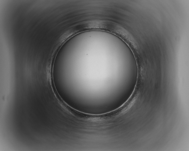 X0000101951033200807251130